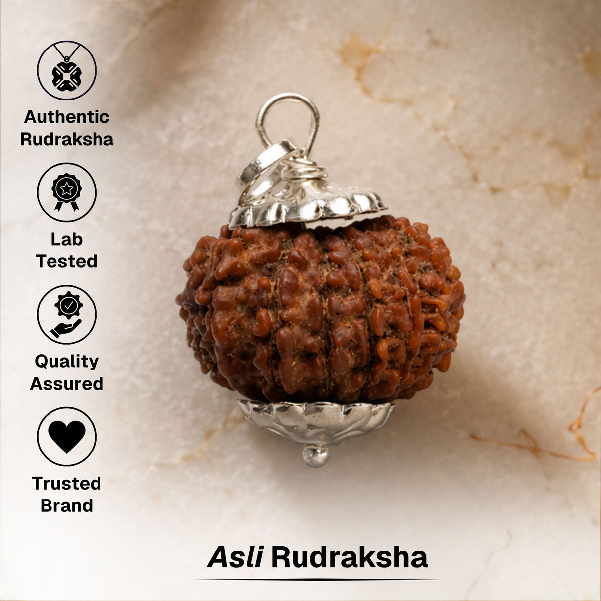 16 Mukhi Nepali Rudraksha - Solah Mukhi