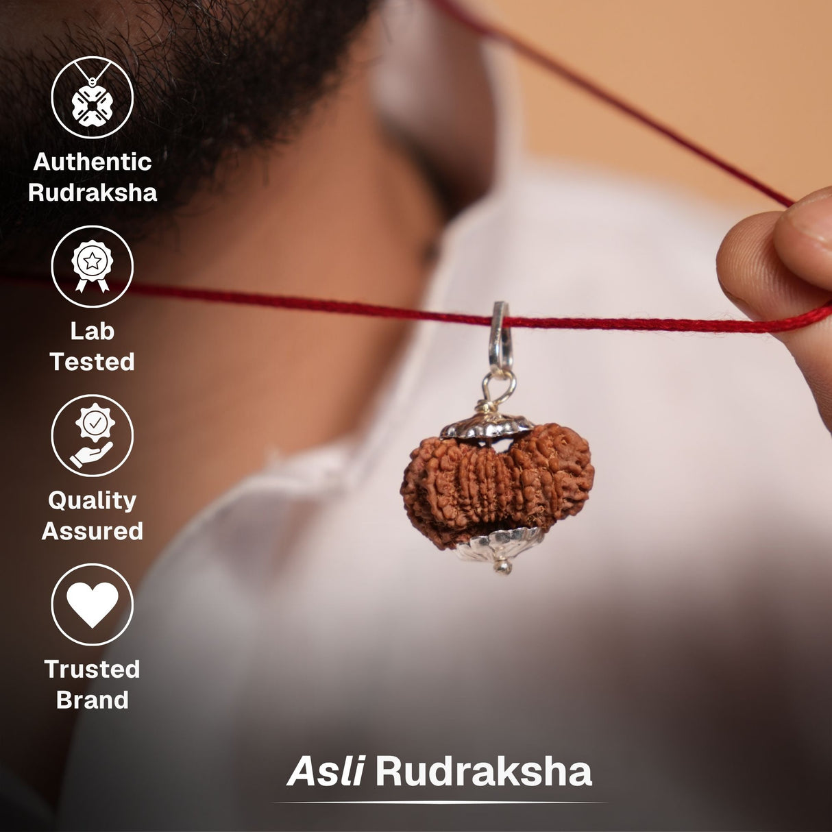 15 Mukhi Nepali Rudraksha - Pandrah Mukhi