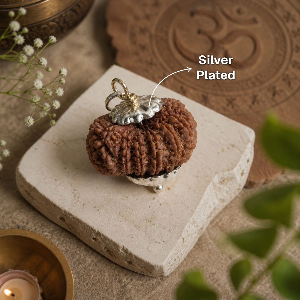 15 Mukhi Nepali Rudraksha - Pandrah Mukhi