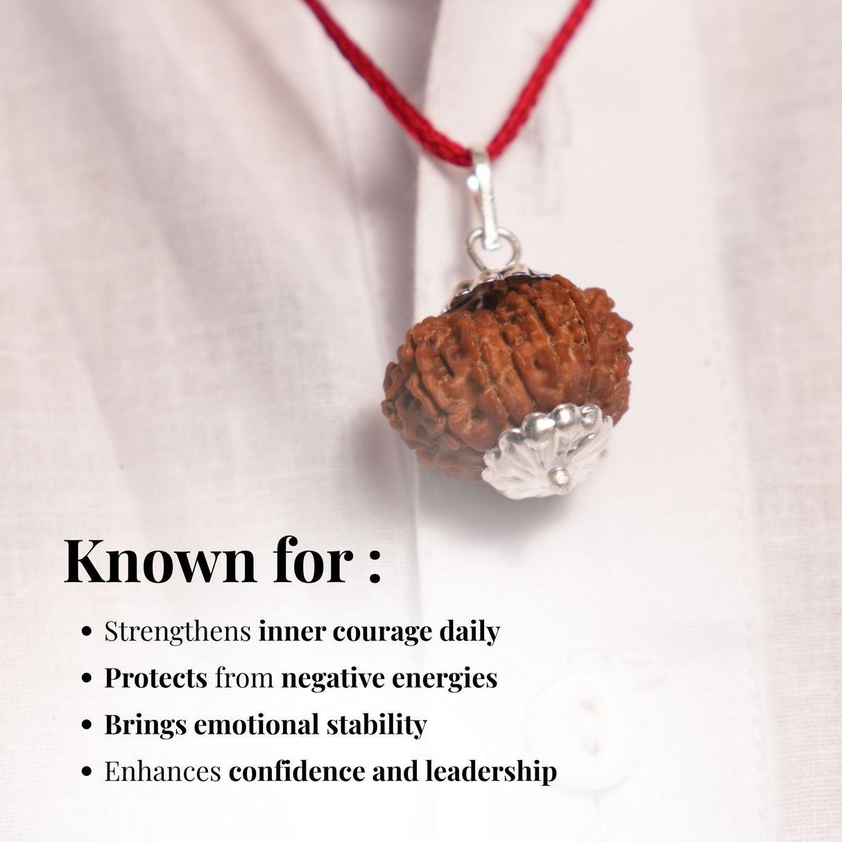 16 Mukhi Nepali Rudraksha - Solah Mukhi
