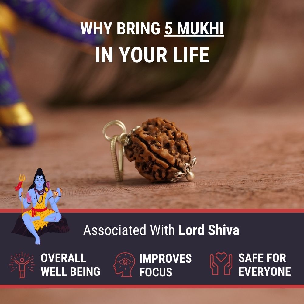 5 Mukhi Nepali Rudraksha - Paanch Mukhi