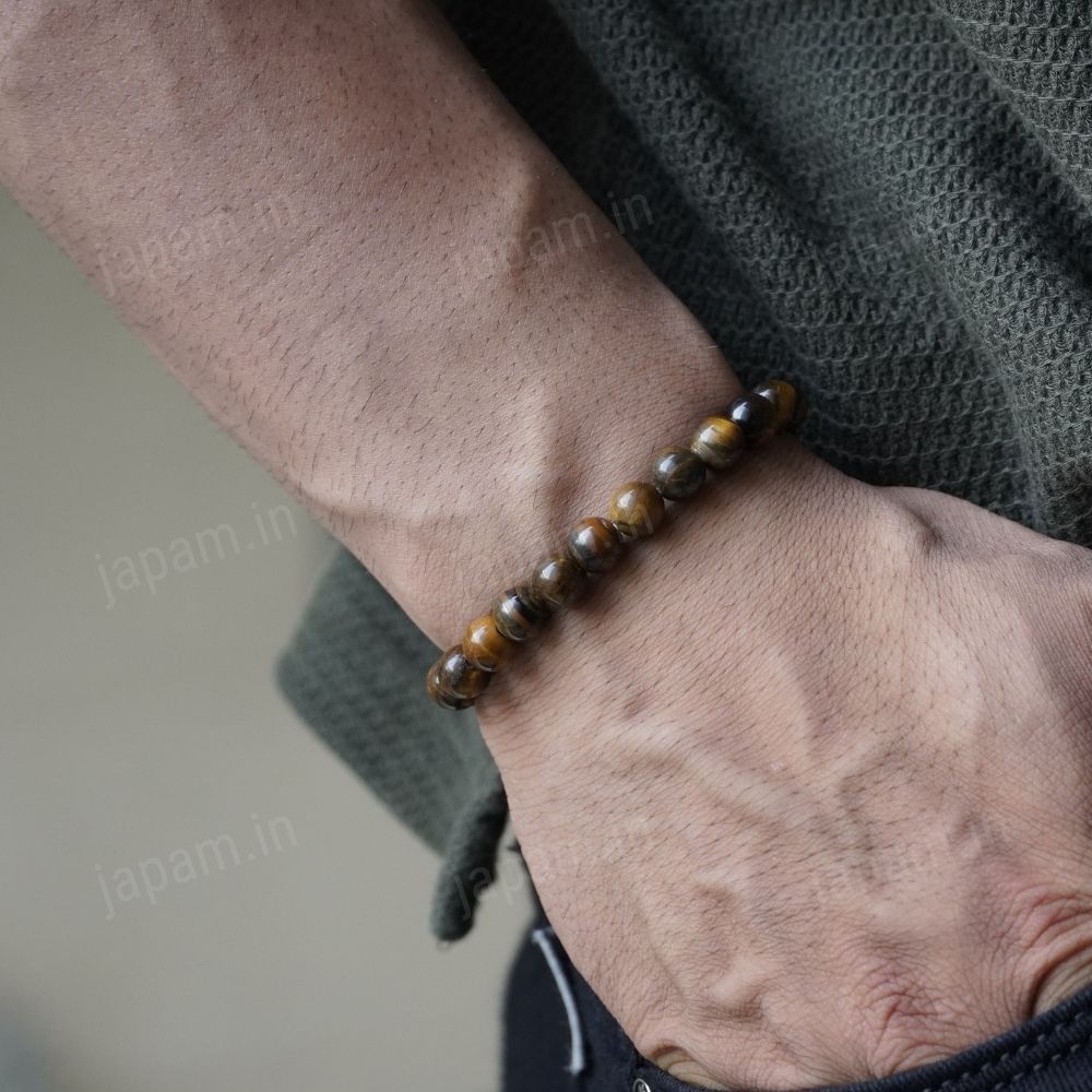 Fortune Magnet Combo