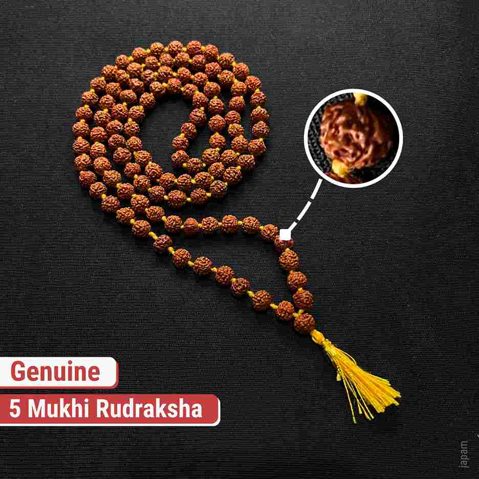 Brown Rudraksha Mala - 108+1 Beads