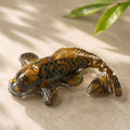 Tiger Eye Feng Shui Fish