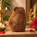 Dhan Lakshmi Ekakshi Nariyal