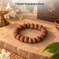 7 Mukhi Rudraksha Band