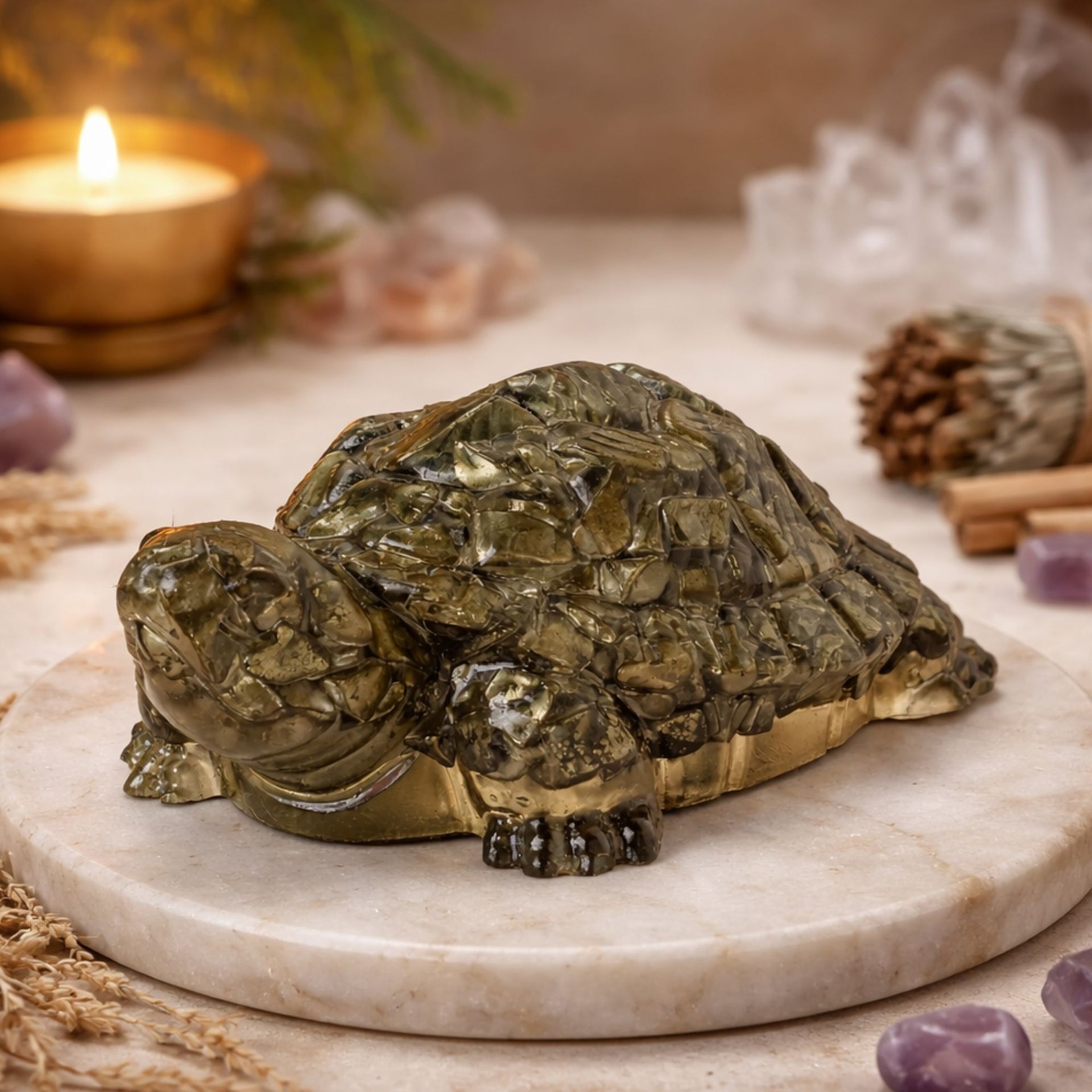 Pyrite Prosperity Tortoise (Kachhua) for Vaastu landing page variant 1