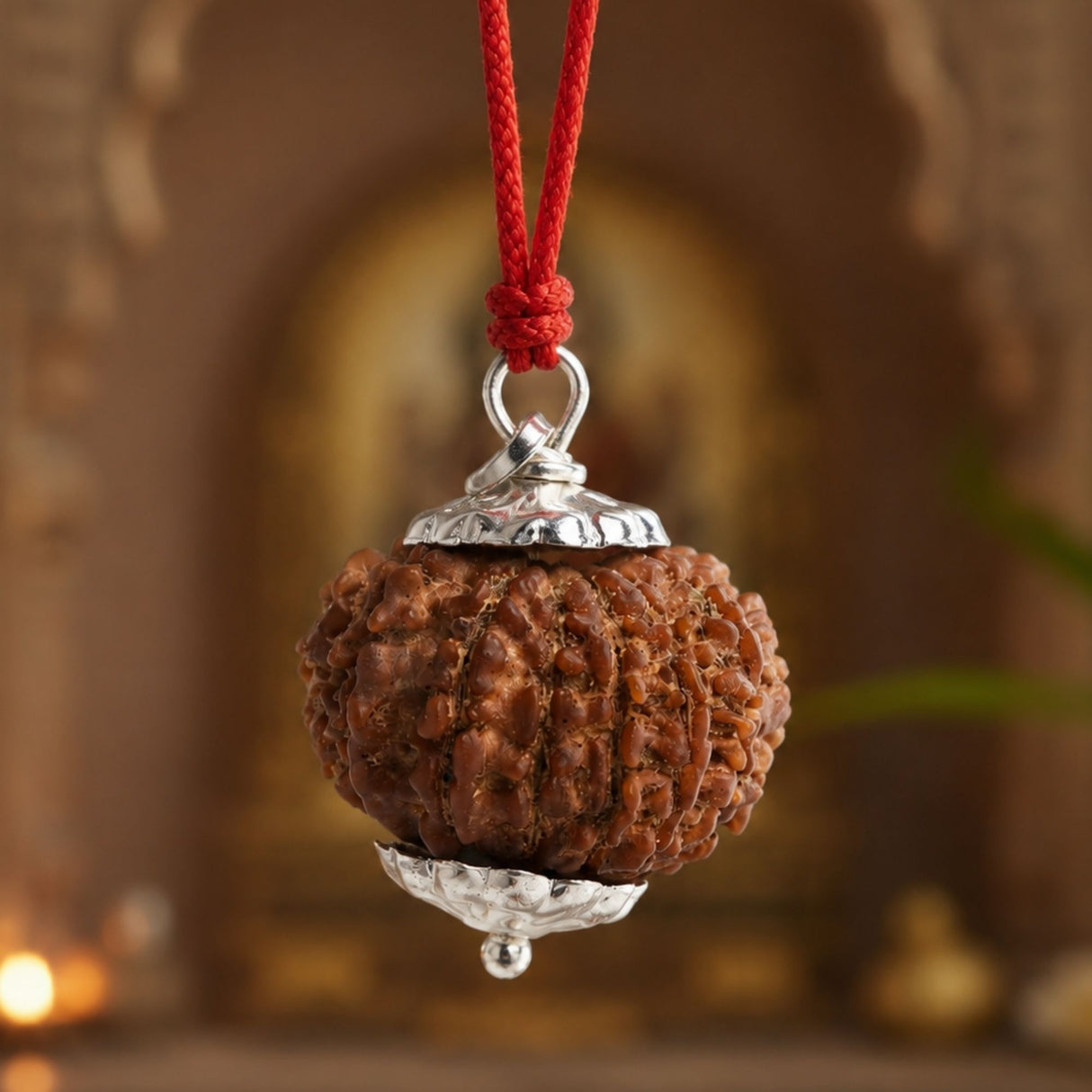 16 Mukhi Nepali Rudraksha - Solah Mukhi
