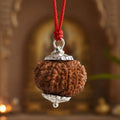 16 Mukhi Nepali Rudraksha - Solah Mukhi