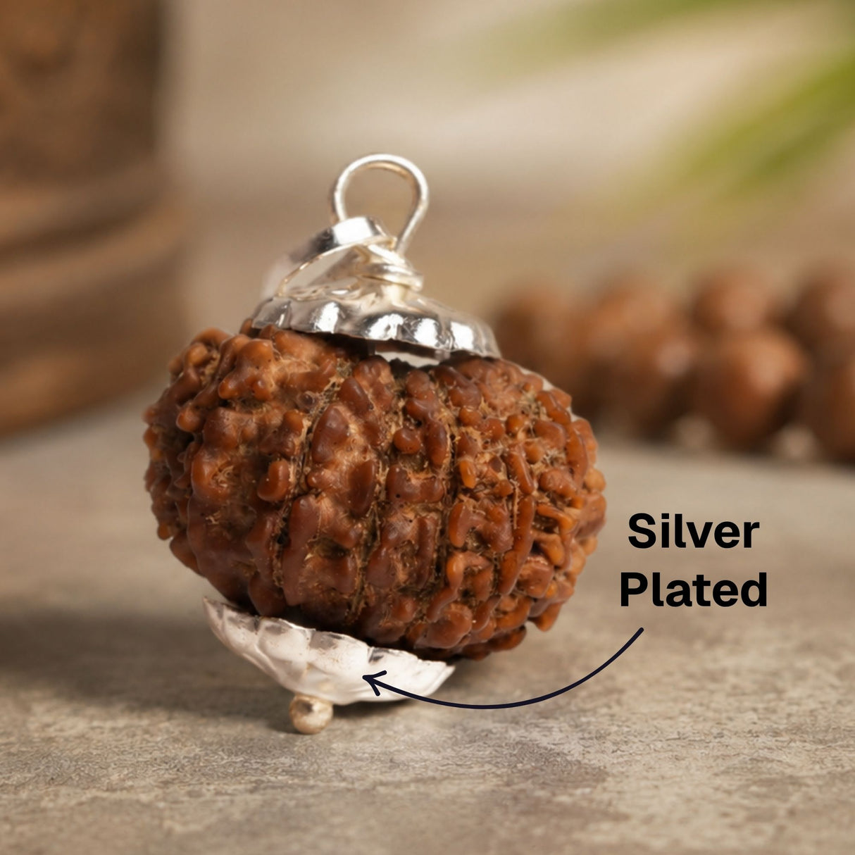 16 Mukhi Nepali Rudraksha - Solah Mukhi