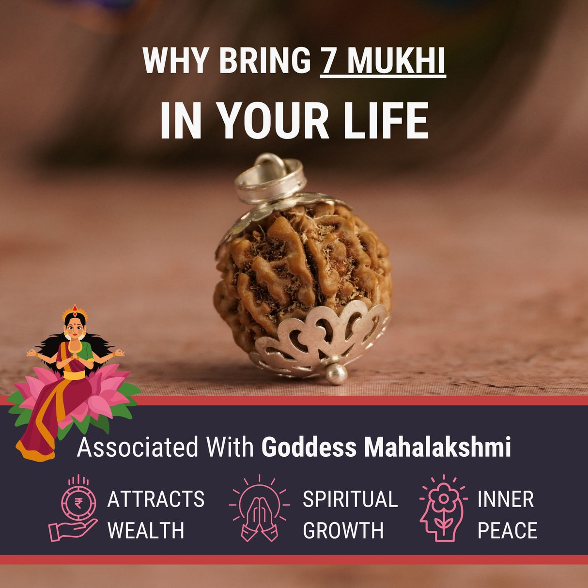 7 Mukhi Nepali Rudraksha - Saat Mukhi