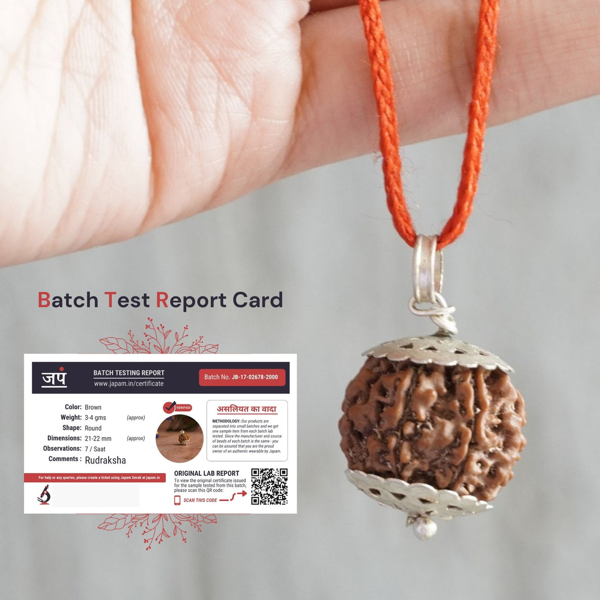 7 Mukhi Nepali Rudraksha - Saat Mukhi