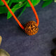 Rudraksha Malas