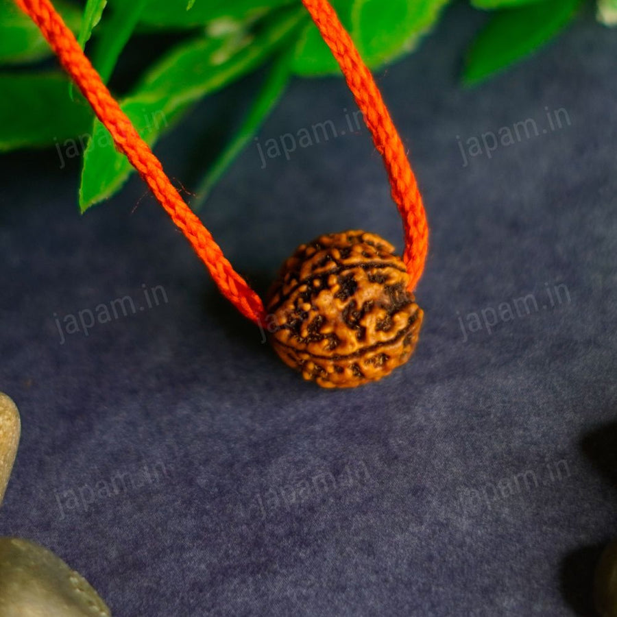 Har Ghar Mein Rudraksha - Claim Your Free 5 Mukhi Rudraksha – Japam