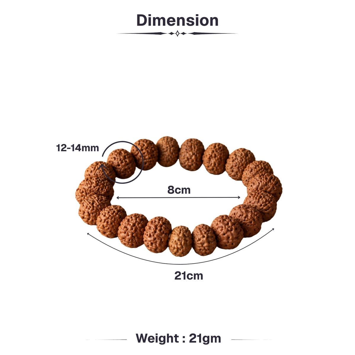 7 Mukhi Rudraksha Band