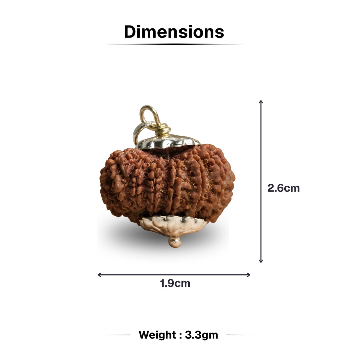 15 Mukhi Nepali Rudraksha - Pandrah Mukhi