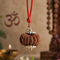 15 Mukhi Nepali Rudraksha - Pandrah Mukhi