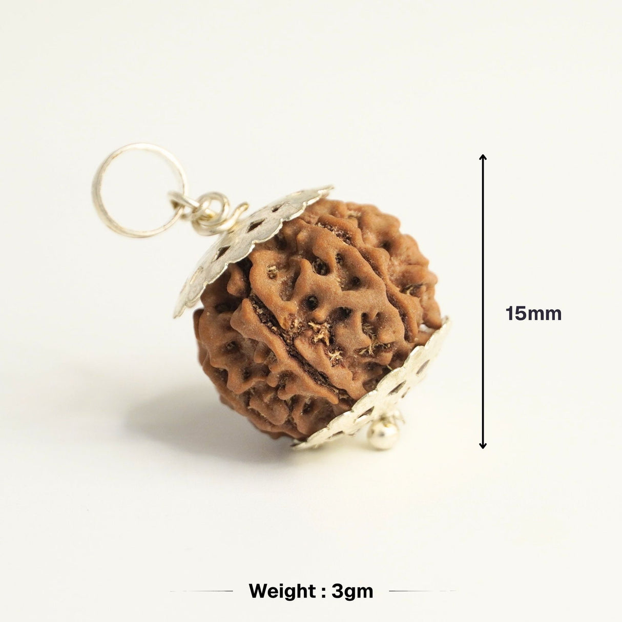 7 Mukhi Nepali Rudraksha - Saat Mukhi