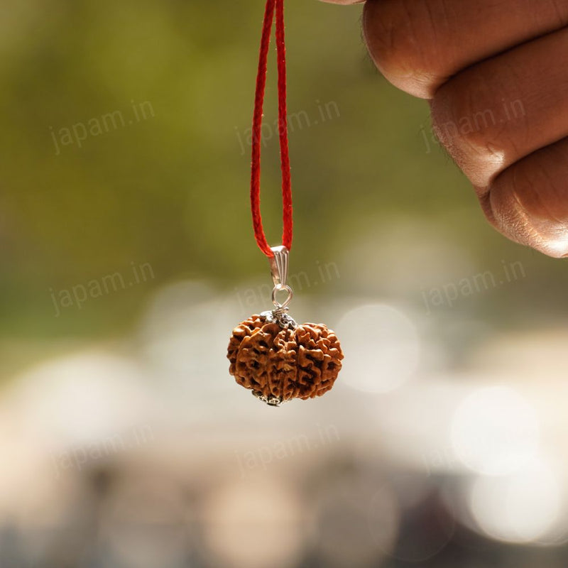 The Complete Rudraksha Guide - Benefits, Myths, Types, Authenticity an ...