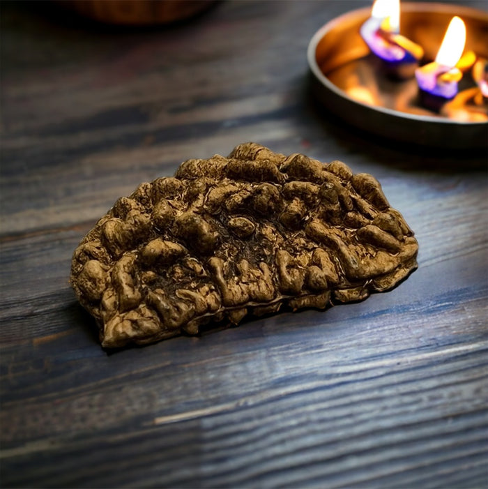 Products – Japam