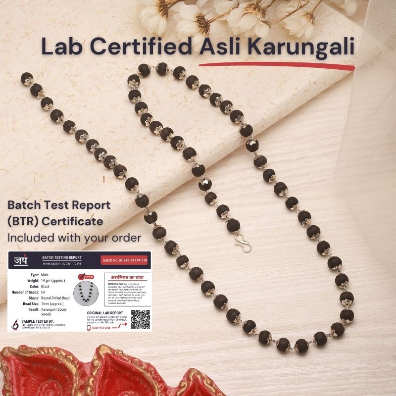 Silver Plated Eternal Karungali Mala - Natural Ebony Wood (Govt. Certified)