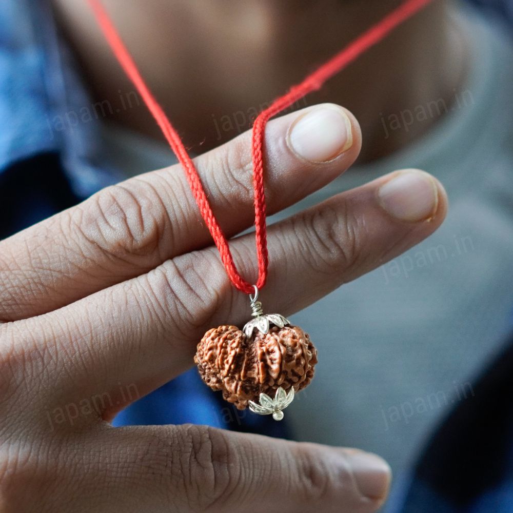 Garbh Gauri Rudraksha