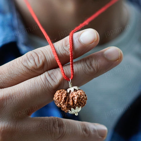 Garbh Gauri Rudraksha